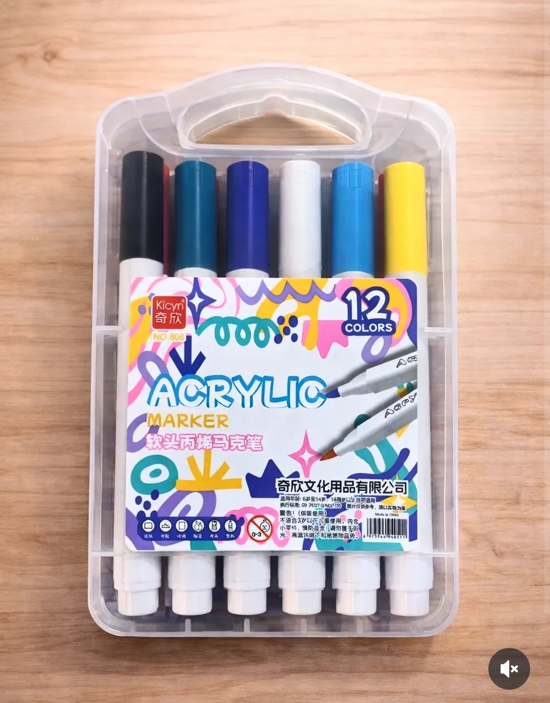 Acrylic Marker Set by the Famous Brand Kicny's 12 Color Soft Tip.